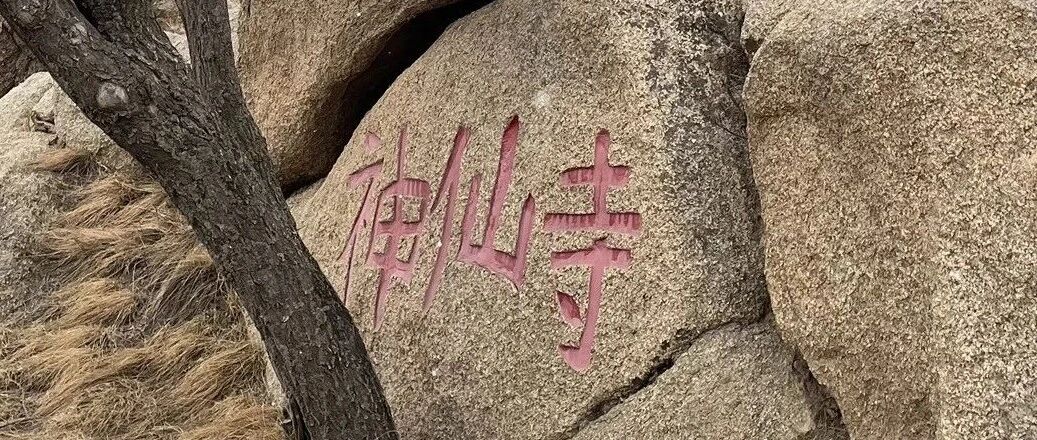 Featured image of post 贺兰胜境--滚钟口春日溜腿记
